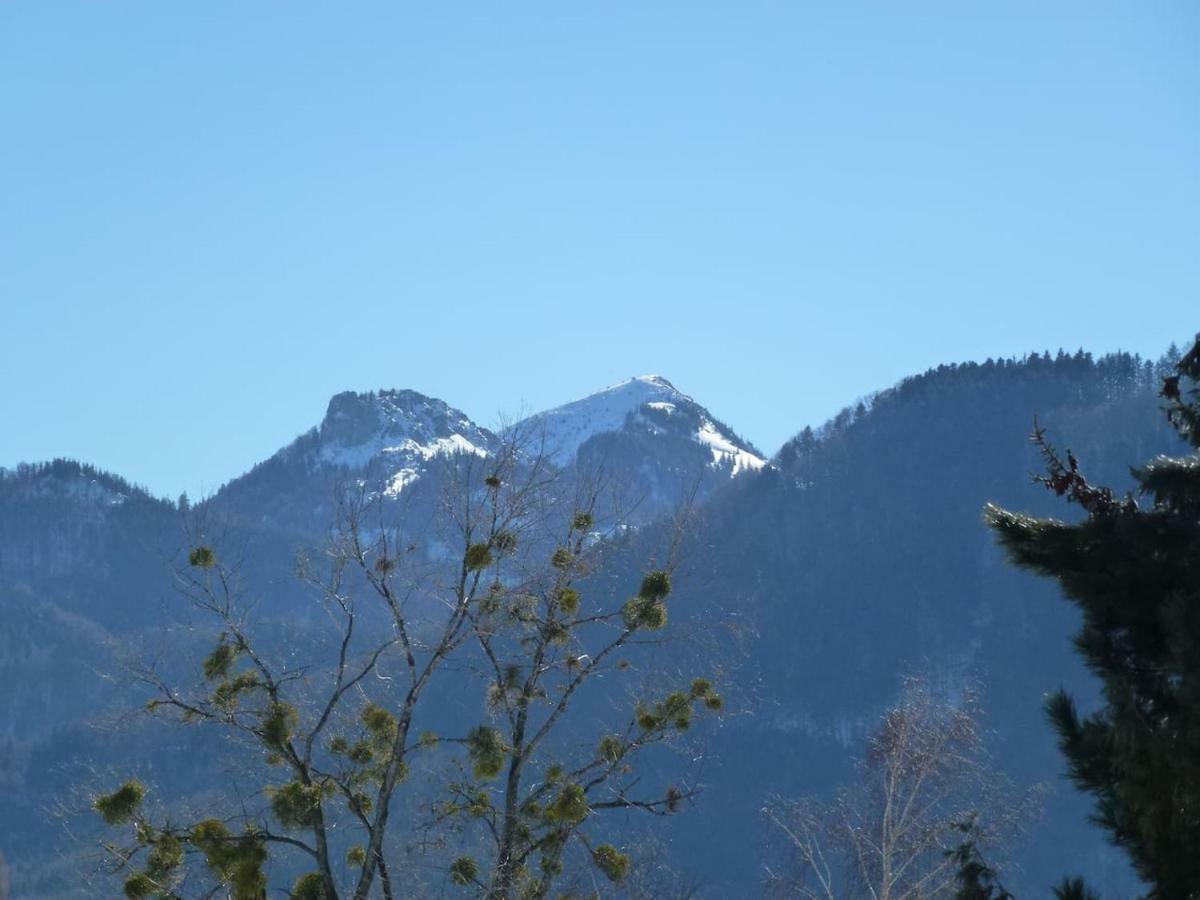 Bergblick und See Bernau am Chiemsee Exterior foto